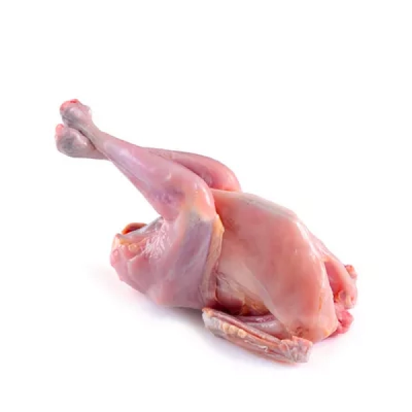 HalalPrani_Shop_chicken4